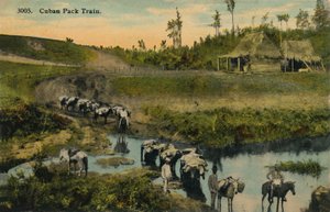Treno di carico cubano, c1910