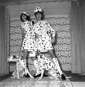 Moda dalmata