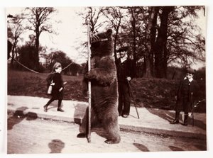 Orso danzante, circa 1905 da Unbekannt
