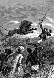 David Livingstone, missionario scozzese ed esploratore africano, attaccato da un leone, c1860 da Unbekannt