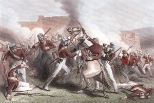 Morte del brigadiere Adrian Hope, rivolta indiana