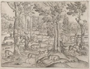Cervi nella foresta, c. 1520 da Unbekannt
