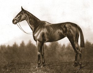 Demure, 1911 da Unbekannt