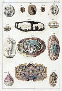 Dendriti e agate da Unbekannt