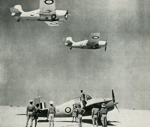 Squadrone del deserto - aerei della Fleet Air Arm durante la Seconda Guerra Mondiale, c1943 da Unbekannt