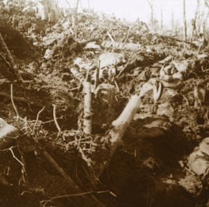 Rifugio distrutto, Les Éparges, Francia settentrionale, 1915