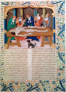 Dissezione, fine XV secolo