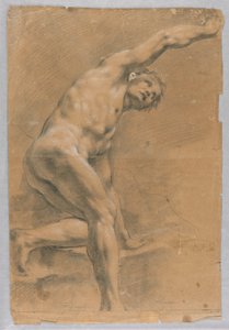 Disegno