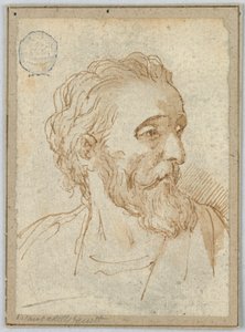 Disegno