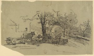 Disegno (USA)