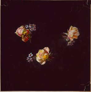 Disegno, da Saint Germain - Volumi 1 & 2 da Unbekannt