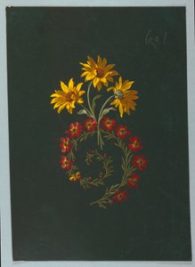 Disegno, da Saint Germain - Volumi 1 & 2 da Unbekannt