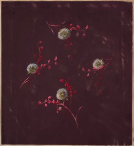 Disegno, da Saint Germain - Volumi 1 & 2, ca. 1896 da Unbekannt
