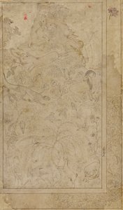Disegno di animali e piante