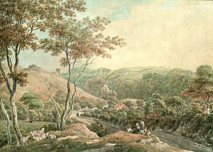 Castello di Drusllwyn, Caermarthenshire, c1900 da Unbekannt