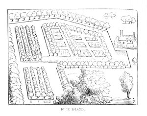 Duck Island, c1870 da Unbekannt
