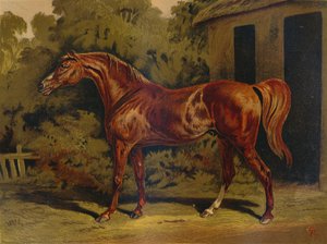 Eclissi, c1879 da Unbekannt