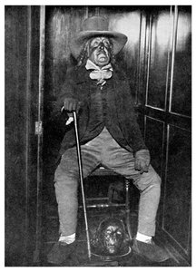 Effigie di Jeremy Bentham con la sua testa imbalsamata, University College, Londra, 1956 da Unbekannt