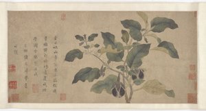 Melanzana, dinastia Yuan o Ming, XIV secolo da Unbekannt