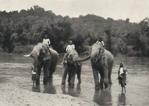 Elefanti nel bagno Mahaaliganga, 1926