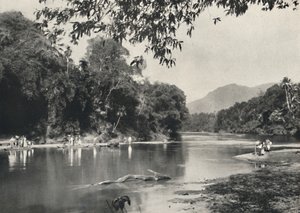 Elefantenbadeplatz an der Mahavaliganga bei Kandy, 1926 da Unbekannt