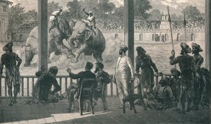 Combattimento di elefanti a Baroda, 1896