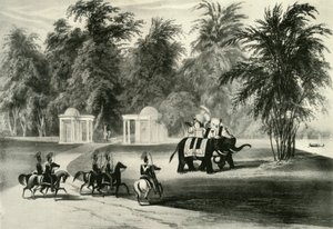 Elefanti e guardia del corpo nel Parco di Barrackpore, 1820, 1925 da Unbekannt