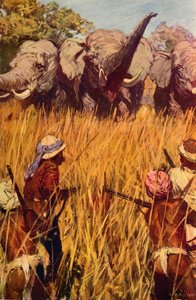 Elefanti in caccia, c1850 c1912 da Unbekannt