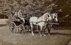Imperatore Alessandro III e Imperatrice Maria Fyodorovna su una carrozza da Unbekannt