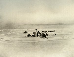 Imperatori sul toboggan, c1908, 1909 da Unbekannt