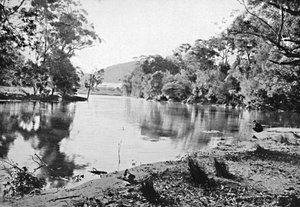 Ombre serali, Parco Nazionale, c. 1900