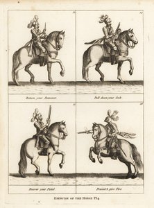 Esercizio del cavallo da Unbekannt