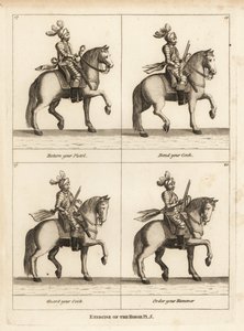 Esercizio del cavallo da Unbekannt