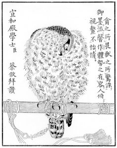Falco, 1886
