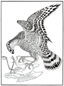 Falco e airone, XVI secolo 1886 da Unbekannt