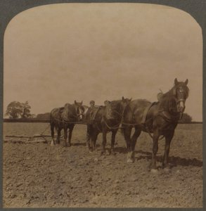 Agricoltura in Inghilterra - Erpicatura del terreno, 1909 da Unbekannt