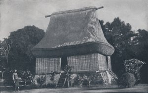 Casa figiana, 1924