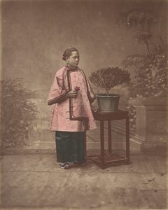 Fille de Shanghai da Unbekannt