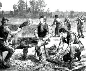 Pettinatura del lino, c1880 da Unbekannt