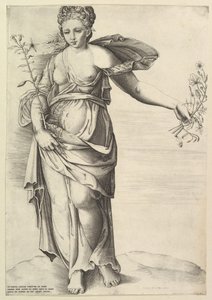 Flora da Unbekannt