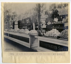 Mostra di orticoltura della Florida nel Palazzo dell