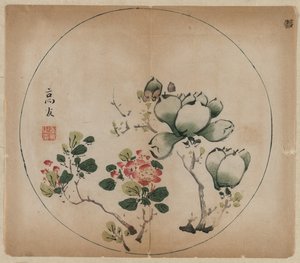 Magnolia fiorita e fiori di pesco, 1368-1644