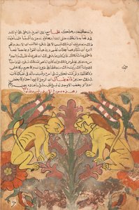 Folio da un Kalila wa Dimna, 18° secolo da Unbekannt