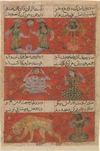 Folio da Mu