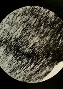 Legno fossile in arenaria, da una morena a latitudine 85° Sud, c1908