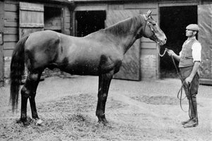 Foxhall, 1880-1904, 1911 da Unbekannt