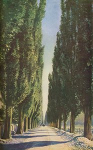 Francia, c1930s da Unbekannt