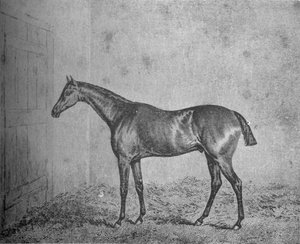 Frederick, 1826-1837, 1911 da Unbekannt