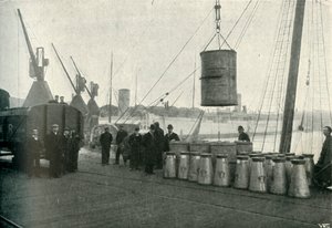 Latte francese sbarcato a Southampton, 1902