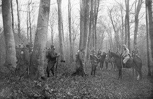 Pattuglie francesi nella foresta di Argonne, Francia da Unbekannt